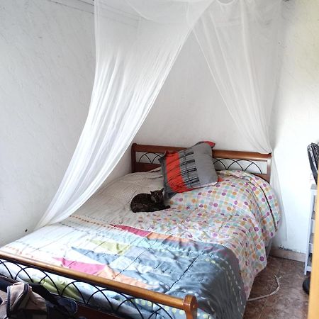 Maison Vue Mer Apartment La Saline Les Hauts Ngoại thất bức ảnh